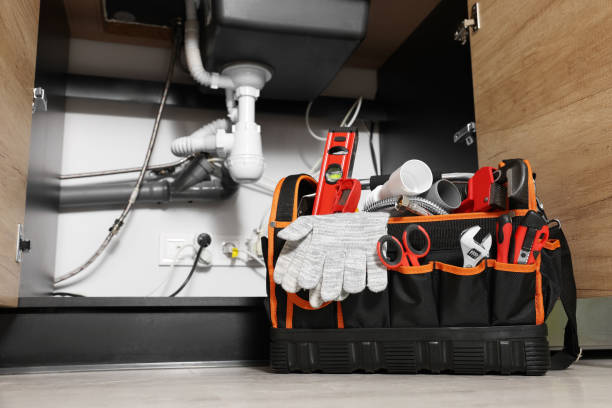 Best Affordable Plumbing Services  in Heritage Pines, FL