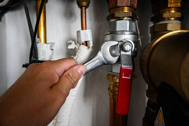 Best Local Plumber Services  in Heritage Pines, FL